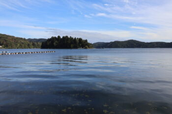 この時期のまだ水温も暖かく、水中には水草がひしめきルアー釣りには難しそうでした🐟