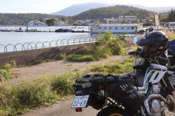 向こうの桟橋では次々に出航するボートが。貸しボートでバス釣りもされてるみたいです🎣