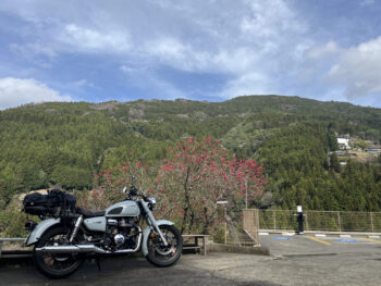 出発前に。中々旅したくなる見た目をしています。