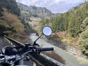 昨日の雨で川も濁ってます。