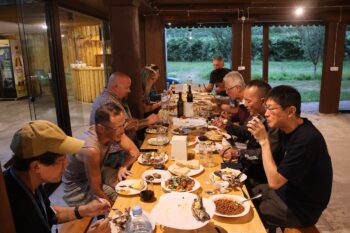 ヴァルジアの宿の敷地内にはブドウ園と畑が並ぶ。ここでもワイン飲み放題!