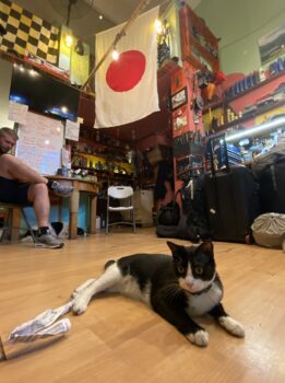 ガレージの猫ちゃん。ちょっとツンデレ。壁の日の丸はガイドのパトリックが日本を旅した時に手に入れたとか。