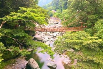 道祖神スタッフと走る！春の国内1泊2日ツーリング