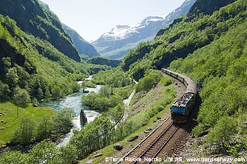 フロム鉄道やクルーズのオプションも