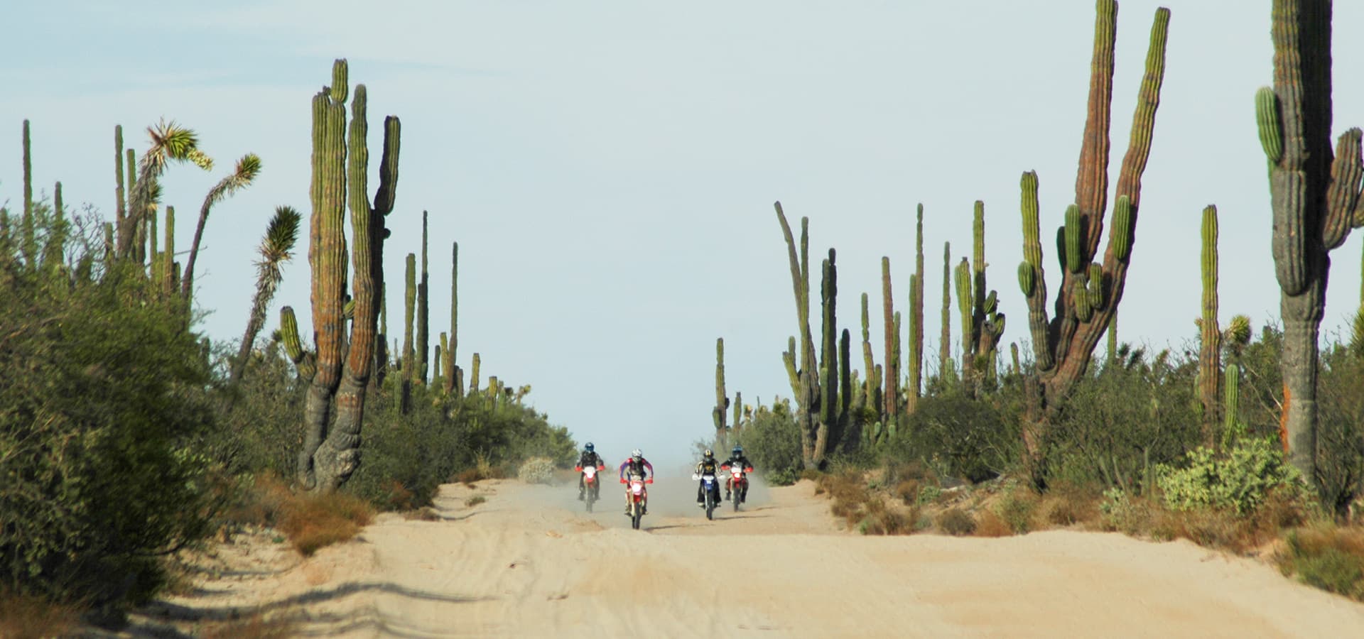 現地発着プラン 風魔プラス1ツーリング メキシコ バハ カリフォルニア半島縦断オフロード 7日間 海外ツーリングの道祖神 現地発着プラン 風魔プラス1ツーリング メキシコ バハ カリフォルニア半島縦断オフロード 7日間 海外ツーリングの道祖神