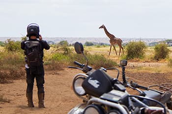 運が良ければ野生動物との遭遇も！