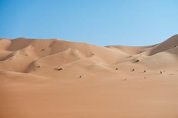 ルブアルハリ砂漠の巨大な砂丘群