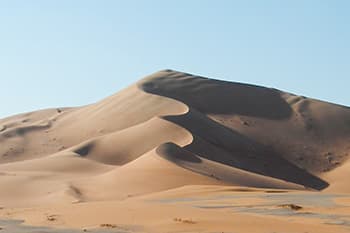 美しい砂丘の曲線