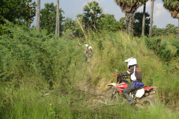時には道なき道を？