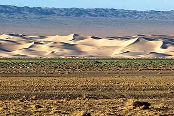 ゴビ砂漠の中枢ホンゴル砂丘を走ります！