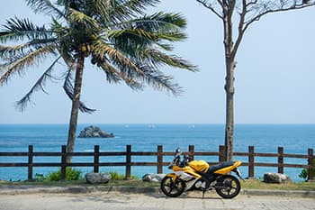 美しい海岸線が続きます
