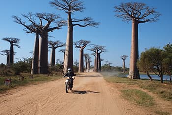 マダガスカル 不思議島マダガスカルとバオバブ街道ツーリング 10日間