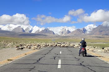 たまには道路閉鎖も！？