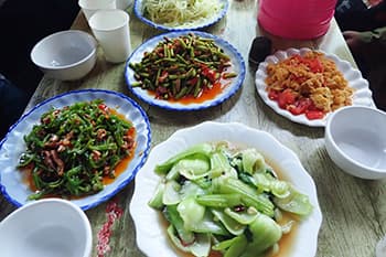 料理は種類が豊富