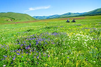 のんびり走るのも良いものです