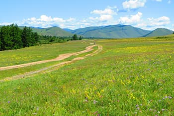 草原の轍を行く